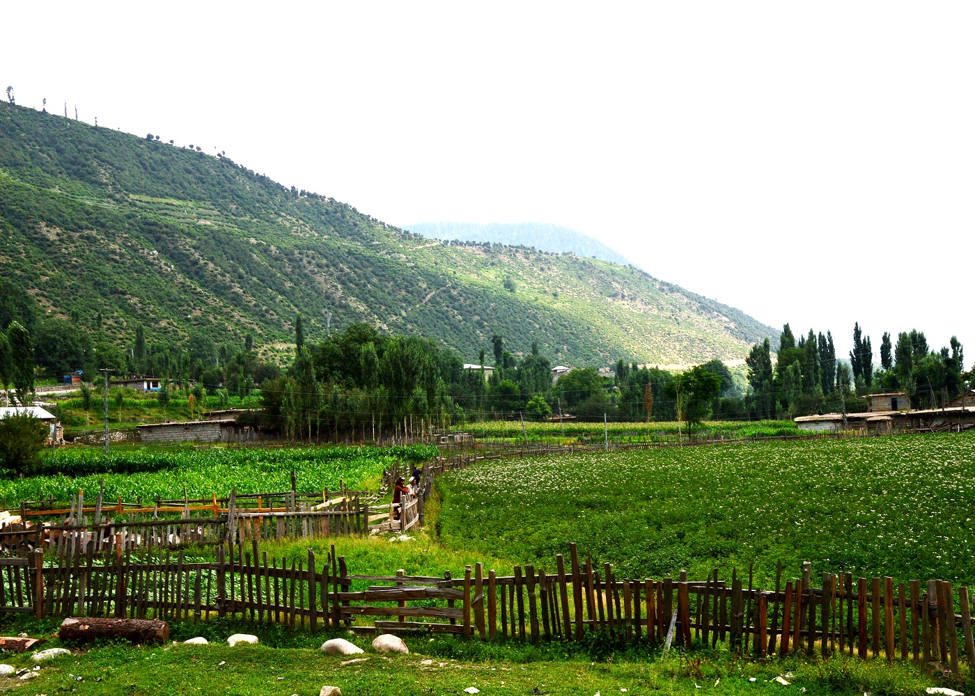 kumrat valley dir upper